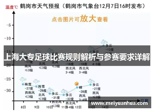 上海大专足球比赛规则解析与参赛要求详解