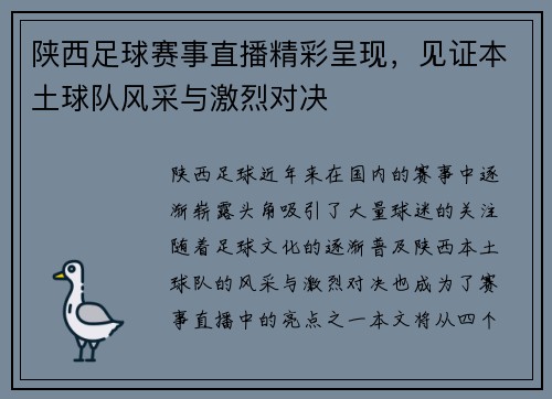 陕西足球赛事直播精彩呈现，见证本土球队风采与激烈对决